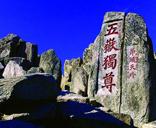 泰安分會(huì)場(chǎng)